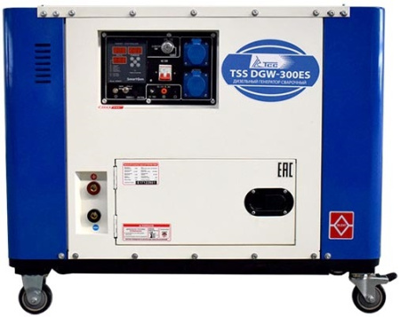 Сварочный генератор ТСС DGW-300ES